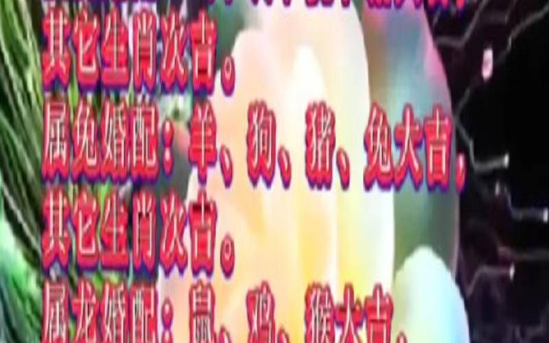 生肖鸡和生肖牛结婚好吗（属牛和属鸡的婚姻如何）