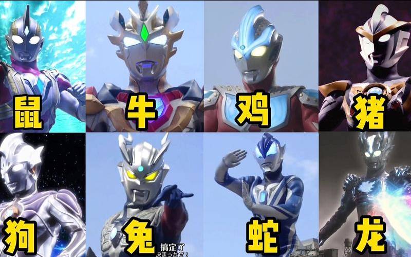 12生肖的奥特曼是谁（十二生肖五行属性大全表）