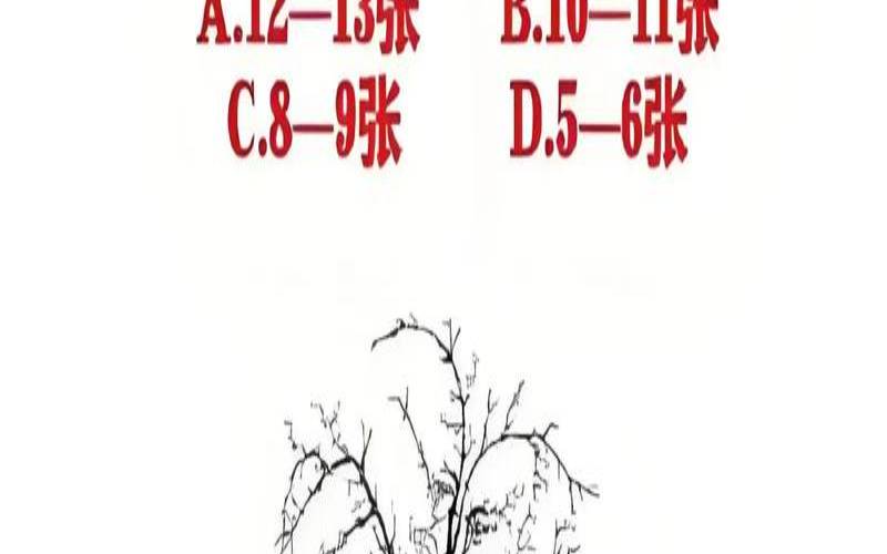 心理测试测试2021年运势（心理c证不见了可以补吗）