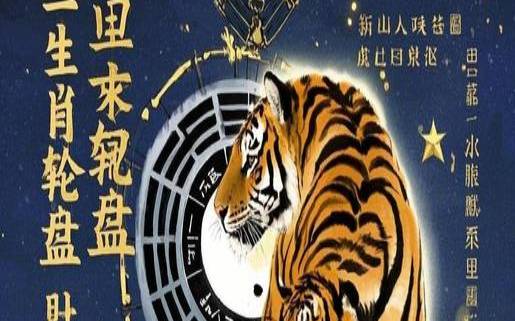 生肖虎八月份运势2021（属虎人适合从事哪些生意）