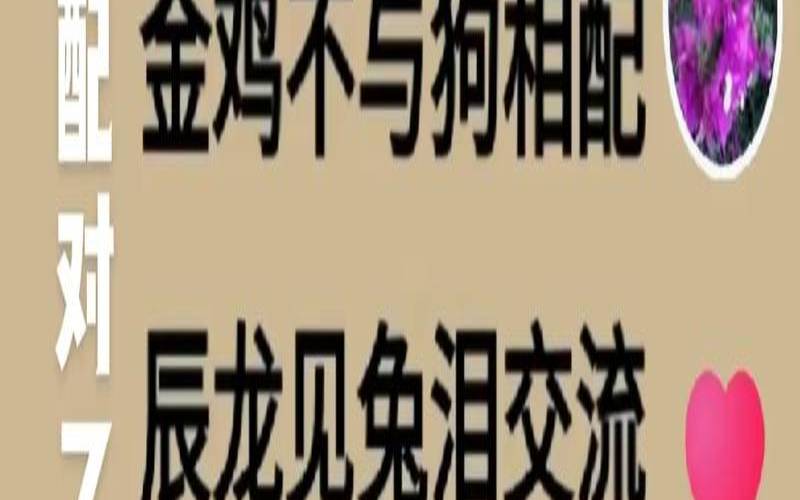 三藏算命网免费算命易卜居（三藏算命网名测吉凶）