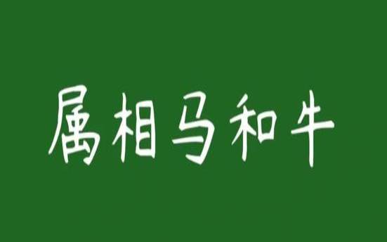 属马逢牛年运势（马和牛得知前方有战事面试）