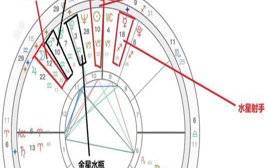 福原爱是啥星座（免费占星命盘查询分析）