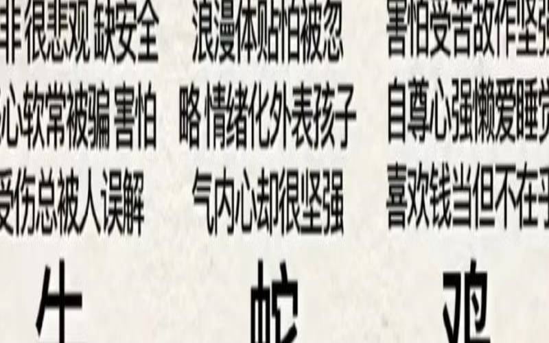 你推我让是什么生肖（你追我赶打一动物生肖）