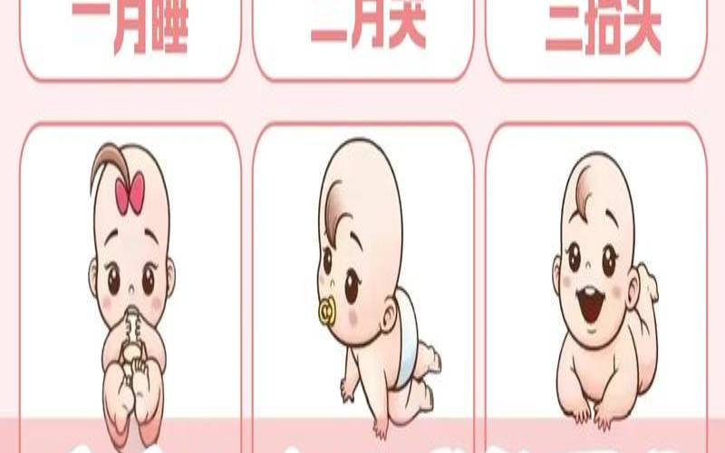 2022年12月10号诞生的宝宝（2020年12月10日生子）