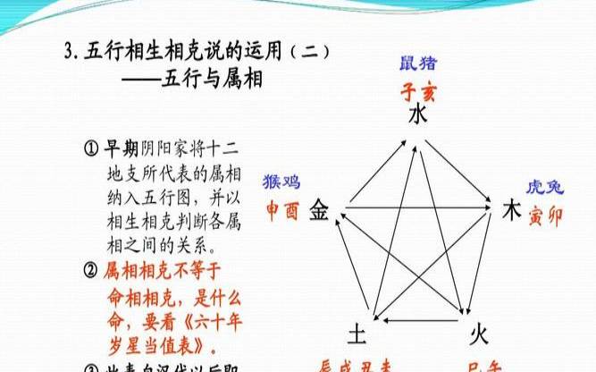 2021生肖相生相克相冲表（万年历冲生肖是什么意思）