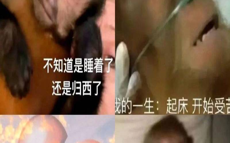 测试你是个幽默的人吗（测试你是个幽默的人吗）