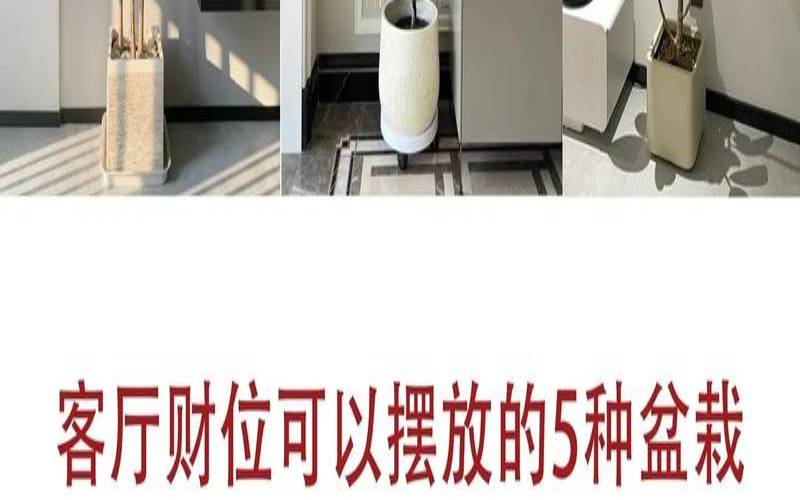 客厅的财位放什么合适（客厅财位适合摆放什么东西）