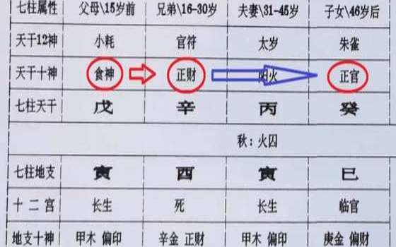 八字看官职等级共有几级（八字算官品级）