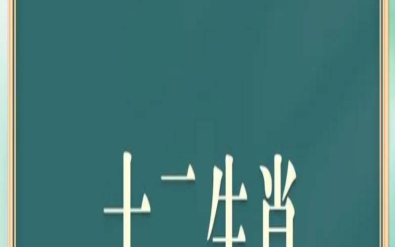 肆表示什么生肖（肆字代表什么生肖）