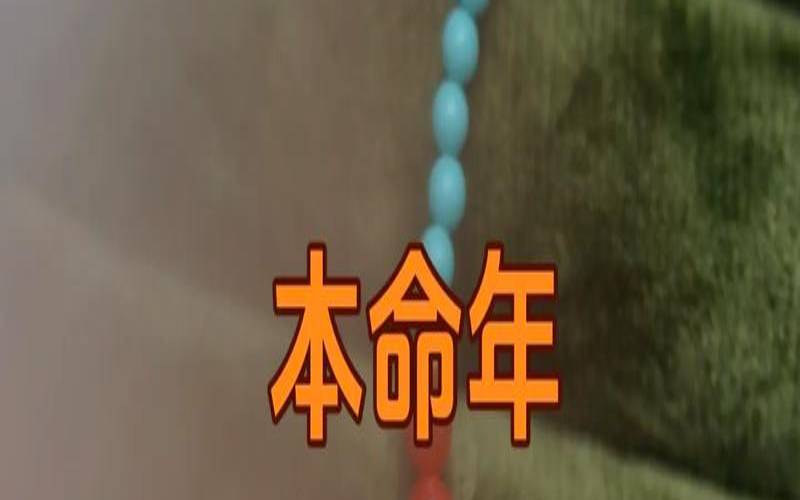 麦玲玲2020年属蛇运程（属蛇人三合贵人手链）