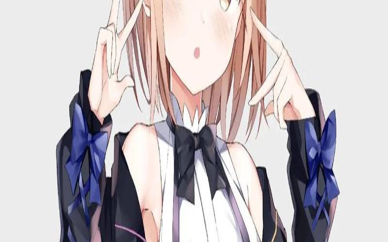 二次元少女性格特点（自己的二次元形象）