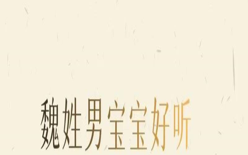 姓魏男孩名字大全（寓意好听的魏姓男孩名字）