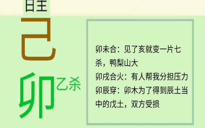 八字已卯日柱（己卯日贵命八字）