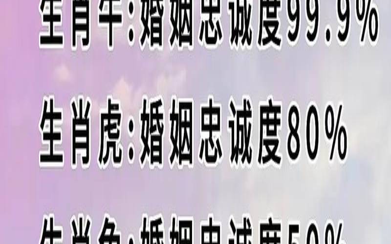 测试以后的伴侣姓什么（测姻缘的软件免费）