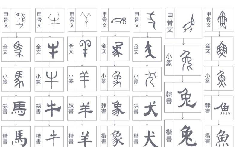 添字指的是什么动物（添代表哪个动物）