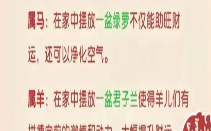 12生肖所代表的职业（12生肖对应的花）