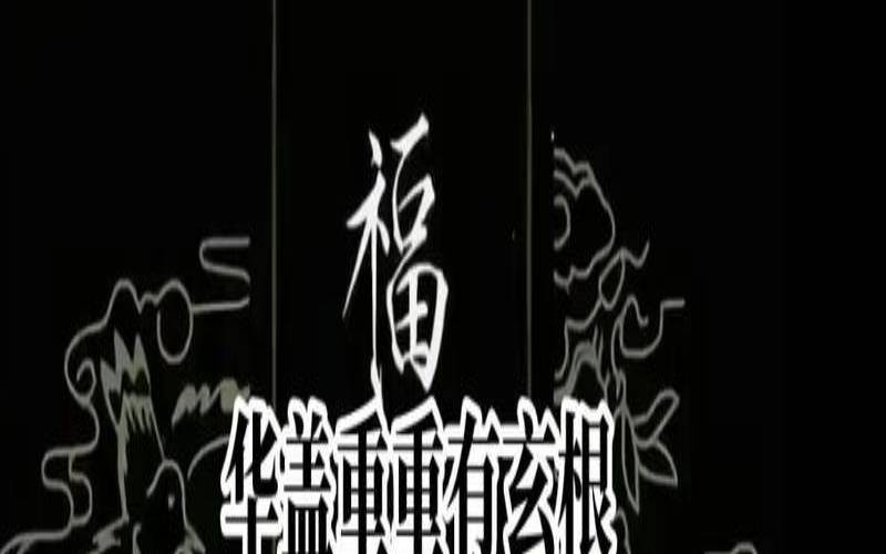 命带华盖太极（华盖空亡在时柱有成就）