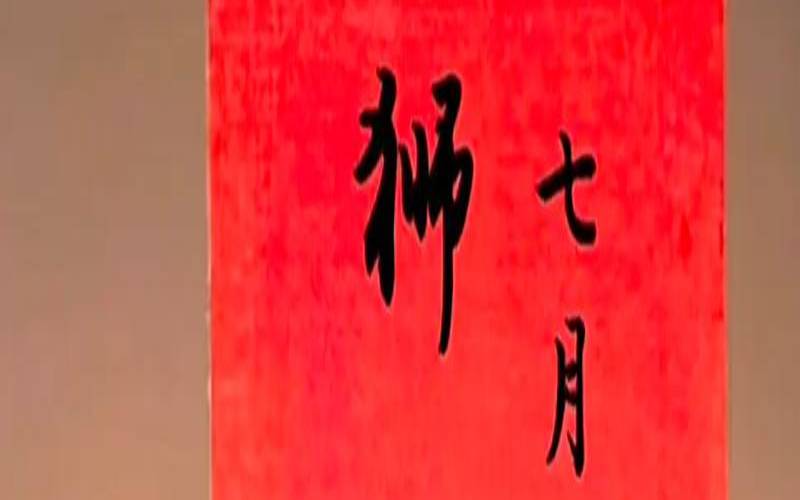 2020年11月狮子座塔罗牌（生狮子座的宝宝几月怀孕）