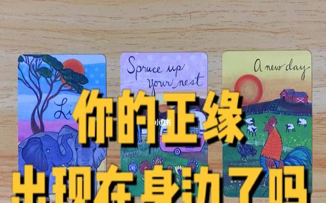 测测你适合什么样的伴侣（测试正缘出现的时间）