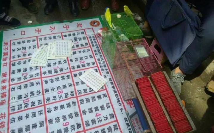 小鸟抽签算命有真的么（小鸟叼签算命）