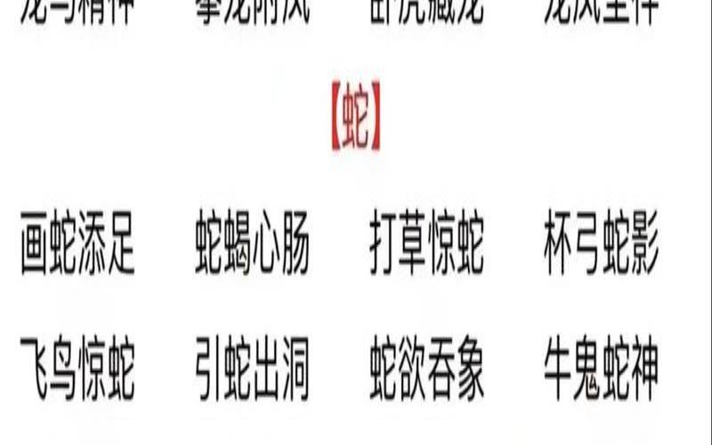 徒有其表属什么生肖的（徒有其表众人讥猜生肖）