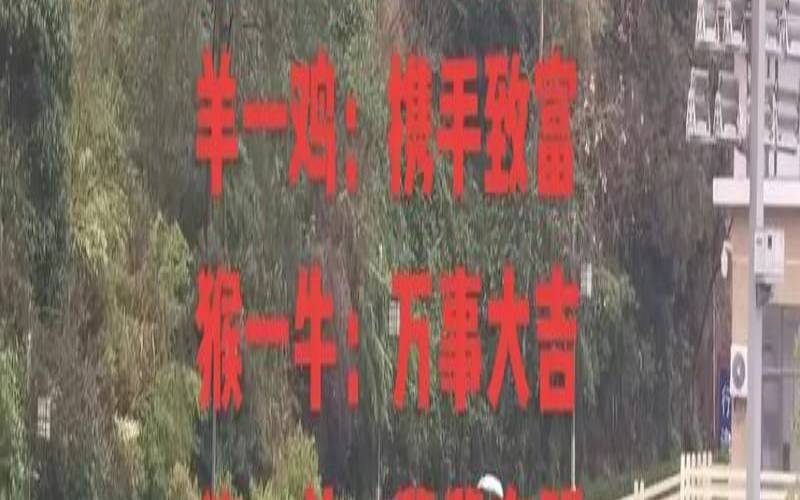 合财的四种情况（十二生肖合财配对）