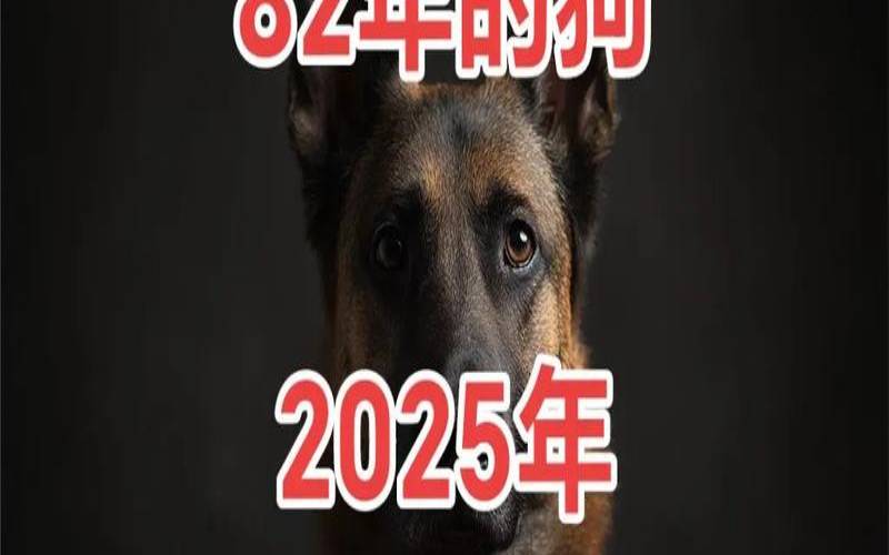 2022年82年属狗女的运势（82属狗未来5年运势）