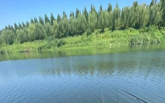 梦见钓鱼鱼上钩后又跑了（女人梦见钓鱼一钓就上钩）