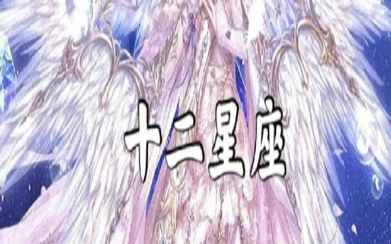 星座在天堂的身份大全（十二星座48星区）