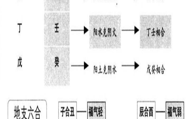 八字命理术语186条详解（看八字基本步骤详解）