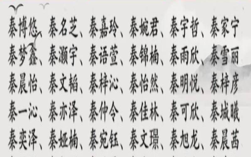 2021年秦姓男孩取名怎么取（新生儿男孩名字）
