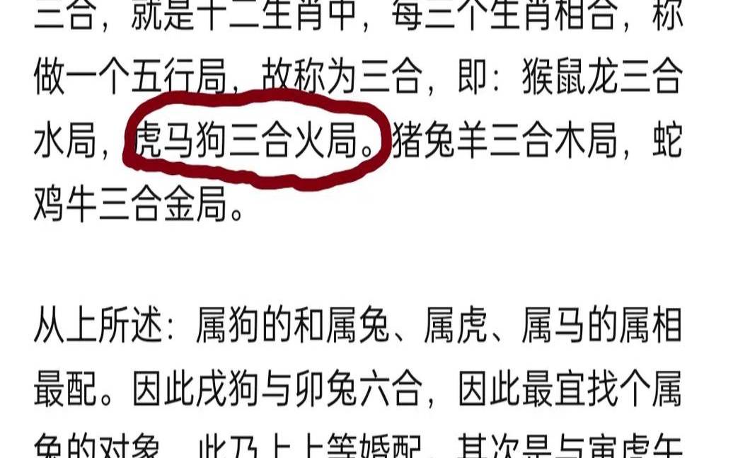 属马的生肖有哪几年（属狗的是哪几年）