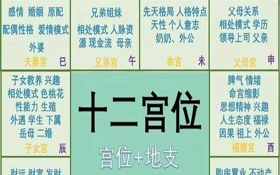 紫薇跟八字的区别（怎样查自己十二宫位）