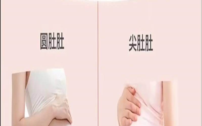测试胎儿性别的妙招（如何看胎儿性别）