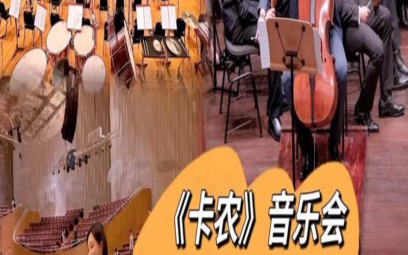 卡农之十二星座洛天依（卡农旋律的歌曲）