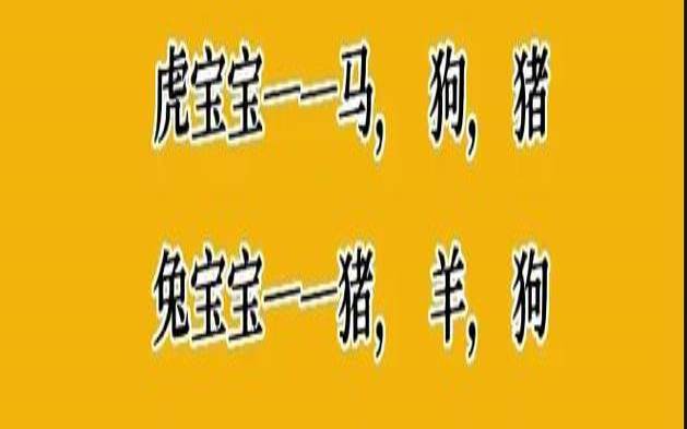 2022年哪些属相适合生孩子（2022年生宝宝的生肖）