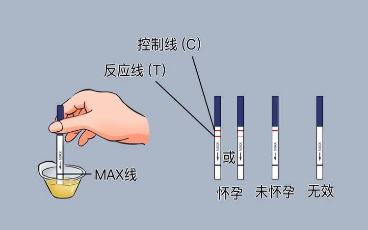 测怀孕最好的试纸（早孕试纸怎么使用）