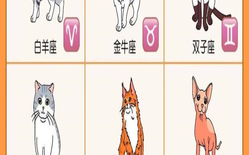 白羊座的宠物是什么动物（十二星座水晶猫咪）