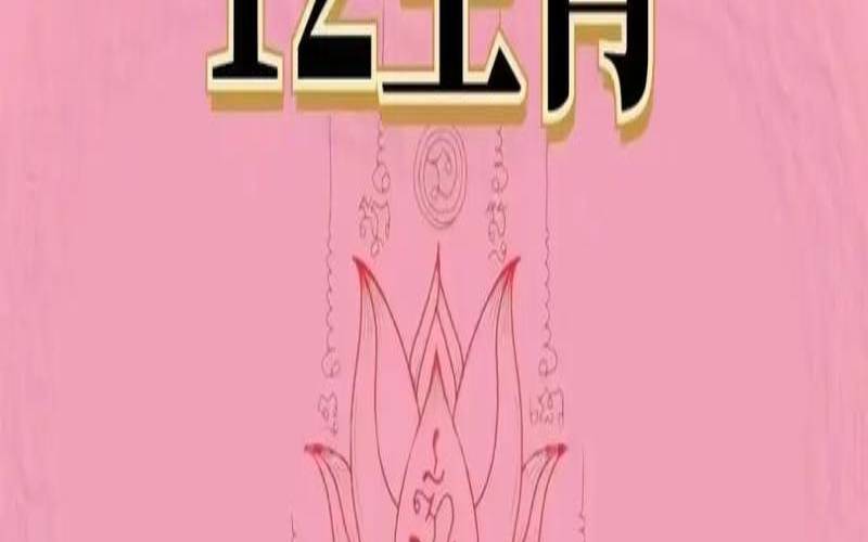 1718数字是代表什么意思（12生肖的数字）