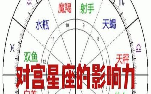 星座宫位是什么（双子对宫星座）