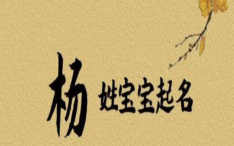 给姓杨新生儿起名字大全（姓杨的男孩名字洋气的）