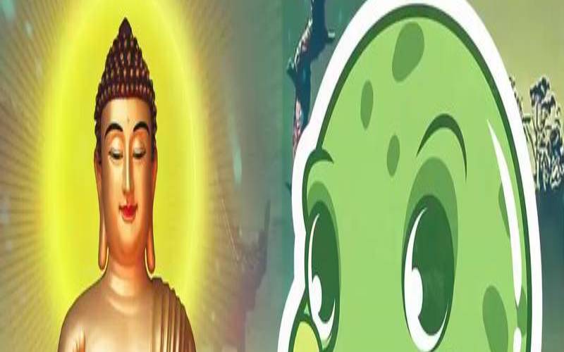 生肖蛇2019年运势大全（蛇女2024年适合创业吗）