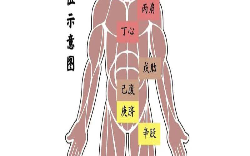 八字看身体健康状况详解!（八字对应的身体部位）