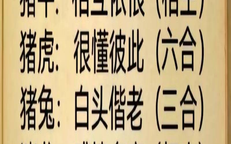 猪和十二生肖的婚配（猪和什么配最佳）