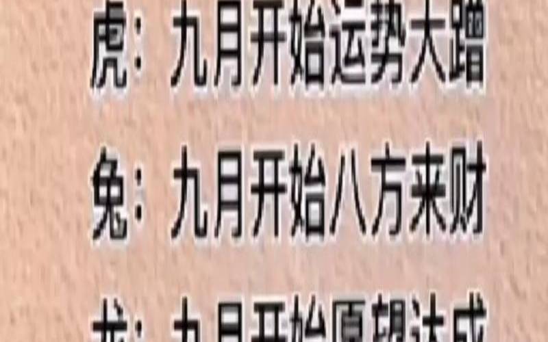 2022年运势12生肖运势详解（属兔2020年运势及运程）