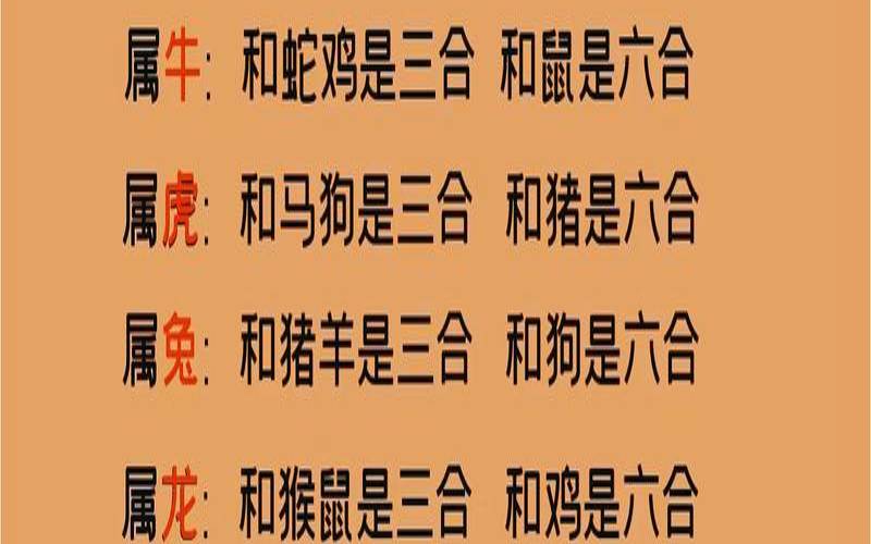 一三五合八是什么生肖（三五今期解一生肖）