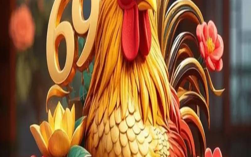 生肖鸡是哪些年份出生的（属鸡的可以带鸡生肖吗）