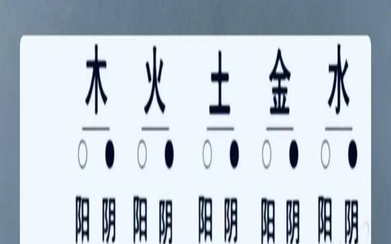 八字干支怎么看（八字天干地支的作用关系）