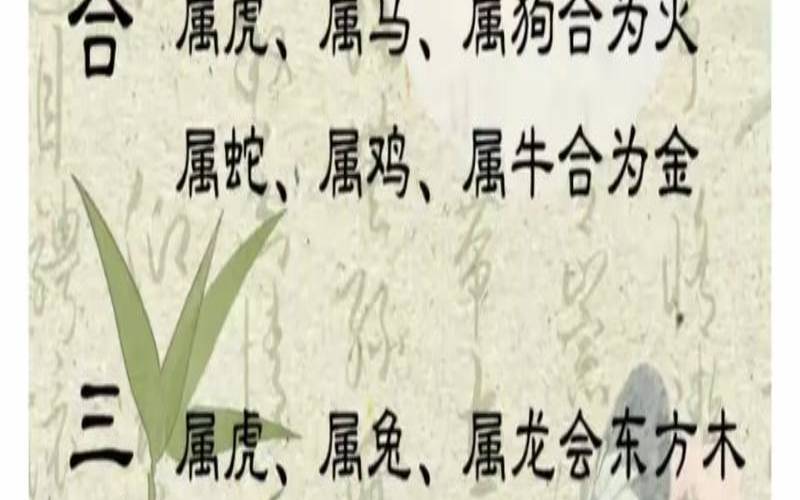 十二生肖五行配对姻缘合婚（12生肖配对姻缘）